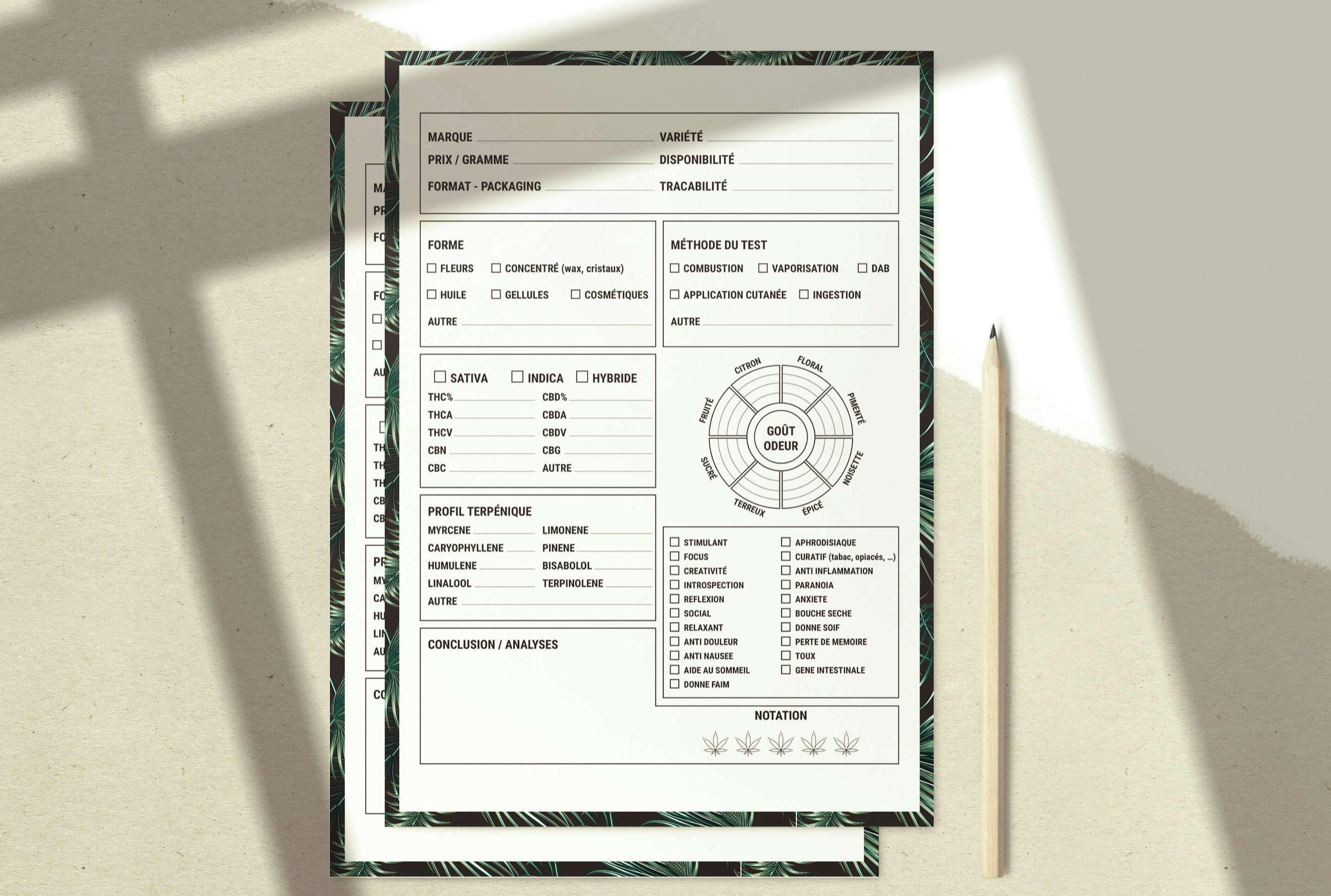 Different ways to format promotions on a resume